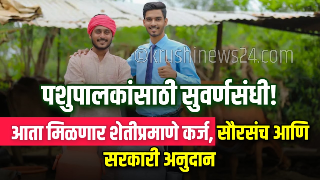 Animal husbandry loan scheme