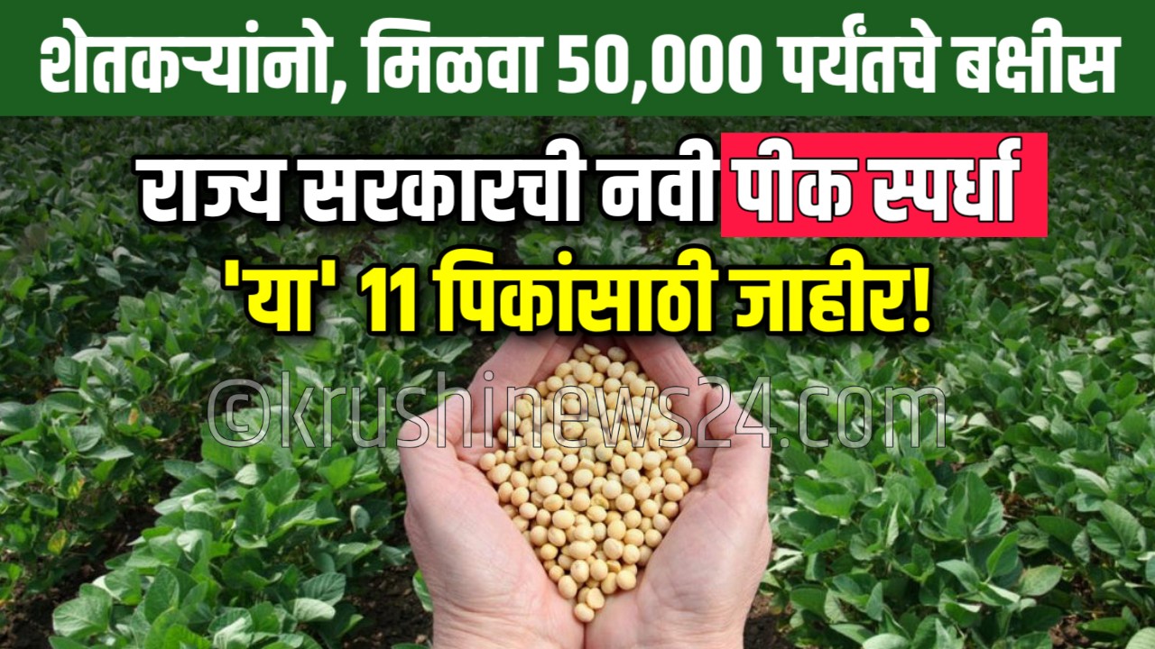 Crop Competition Maharashtra 2025