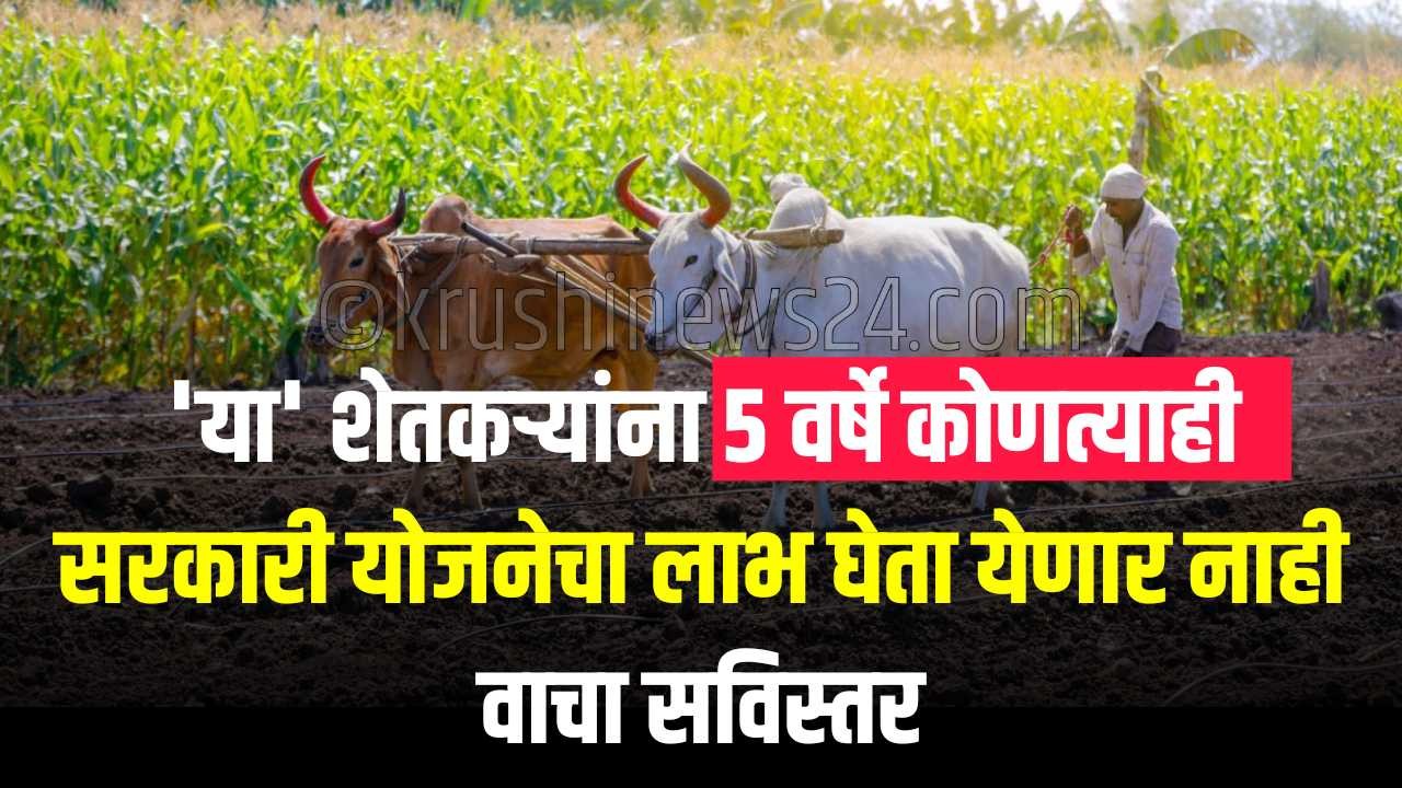 बोगस पीकविमा प्रकरणांवर कारवाई करताना महाराष्ट्र सरकारकडून काळ्या यादीत टाकण्यात आलेले शेतकरी